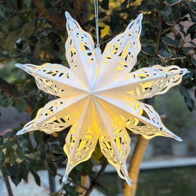 Outdoor ster met 12 LED lichtjes met stekker